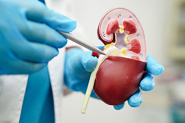 What Are the Latest Advances in Urology Treatments?